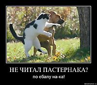 НЕ ЧИТАЛ ПАСТЕРНАКА? по ебалу на-ка!