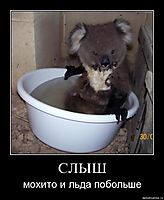 СЛЫШ мохито и льда побольше