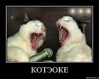 КОТЭОКЕ 