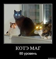 КОТЭ МАГ 80 уровень