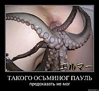 ТАКОГО ОСЬМИНОГ ПАУЛЬ предсказать не мог