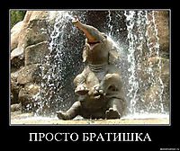 ПРОСТО БРАТИШКА 