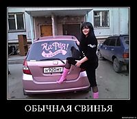 ОБЫЧНАЯ СВИНЬЯ 