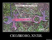 СКОЛКОВО, ХУЛИ. 