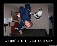 А ТВОЙ КОТЭ, РУБИТСЯ В MK? 