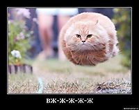 вж-ж-ж-ж-ж 
