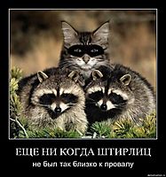 ЕЩЕ НИ КОГДА ШТИРЛИЦ не был так близко к провалу