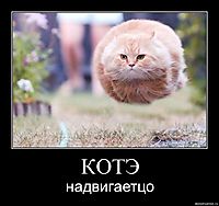 КОТЭ надвигаетцо