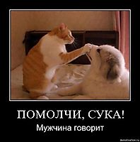 ПОМОЛЧИ, СУКА! Мужчина говорит