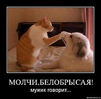 МОЛЧИ,БЕЛОБРЫСАЯ! мужик говорит...