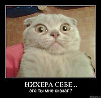 НИХЕРА СЕБЕ... это ты мне сказал?