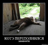 КОТЭ ПЕРЕПОЛНИЛСЯ замените
