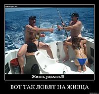 ВОТ ТАК ЛОВЯТ НА ЖИВЦА 