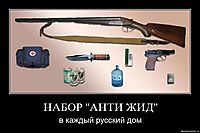 НАБОР "АНТИ ЖИД" в каждый русский дом