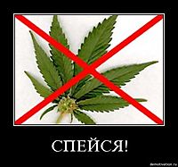 СПЕЙСЯ! 
