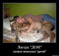 Лагерь "ДОН" палата чеченских "детей"