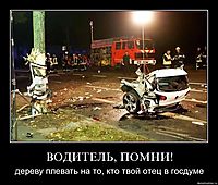 ВОДИТЕЛЬ, ПОМНИ! дереву плевать на то, кто твой отец в госдуме