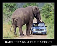 ВАШИ ПРАВА И ТЕХ. ПАСПОРТ 