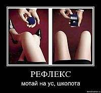 РЕФЛЕКС мотай на ус, школота