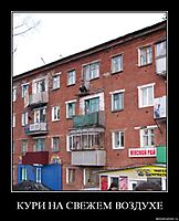 КУРИ НА СВЕЖЕМ ВОЗДУХЕ 