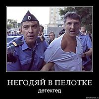 НЕГОДЯЙ В ПЕЛОТКЕ детектед