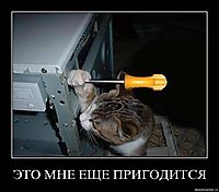 ЭТО МНЕ ЕЩЕ ПРИГОДИТСЯ 