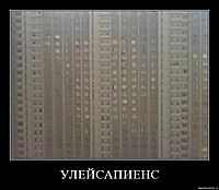 УЛЕЙСАПИЕНС 