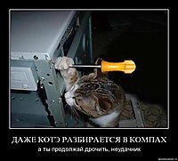 ДАЖЕ КОТЭ РАЗБИРАЕТСЯ В КОМПАХ а ты продолжай дрочить, неудачник