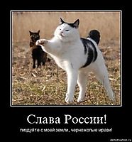 Слава России! пиздуйте с моей земли, черножопые мрази!