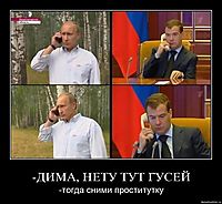 -ДИМА, НЕТУ ТУТ ГУСЕЙ -тогда сними проститутку