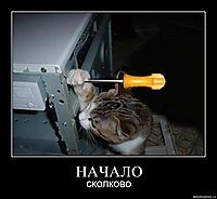 НАЧАЛО сколково
