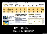 НУ ЧТО СУКИ,