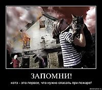 ЗАПОМНИ! котэ - это первое, что нужно спасать при пожаре!