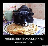 МЕДЛЕННО НАМАЖЬ ИКРЫ развернись и уйди