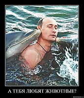 А ТЕБЯ ЛЮБЯТ ЖИВОТНЫЕ? 