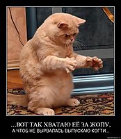 ...ВОТ ТАК ХВАТАЮ ЕЁ ЗА ЖОПУ, А ЧТОБ НЕ ВЫРВАЛАСЬ ВЫПУСКАЮ КОГТИ...
