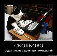 СКОЛКОВО отдел информационных  технологий