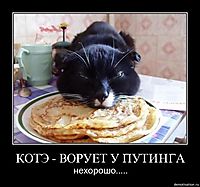 КОТЭ - ВОРУЕТ У ПУТИНГА нехорошо.....