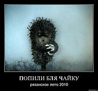 ПОПИЛИ БЛЯ ЧАЙКУ рязанское лето 2010