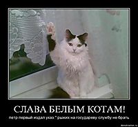 СЛАВА БЕЛЫМ КОТАМ! петр первый издал указ:" рыжих на государеву службу не брать
