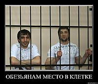 ОБЕЗЬЯНАМ МЕСТО В КЛЕТКЕ 