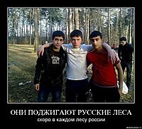 ОНИ ПОДЖИГАЮТ РУССКИЕ ЛЕСА скоро в каждом лесу россии