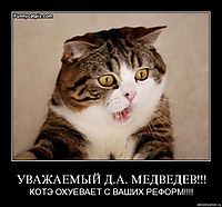 УВАЖАЕМЫЙ Д.А. МЕДВЕДЕВ!!! КОТЭ ОХУЕВАЕТ С ВАШИХ РЕФОРМ!!!!