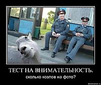 ТЕСТ НА ВНИМАТЕЛЬНОСТЬ. сколько козлов на фото?