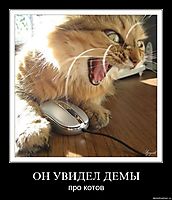 ОН УВИДЕЛ ДЕМЫ про котов