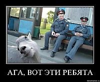 АГА, ВОТ ЭТИ РЕБЯТА 