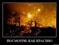 ПОСМОТРИ, КАК КРАСИВО 
