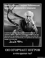 ОН ОГОРЧАЕТ НЕГРОВ а что сделал ты?