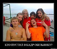 КТО ПУСТИЛ В КАДР ОБЕЗЬЯНКУ? 
