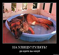 НА УЛИЦУ? ГУЛЯТЬ?